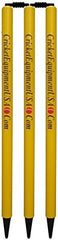 CE Cricket Stumps Set 6 Wickets 4 Bails Wooden White Yellow Brown Standard Size